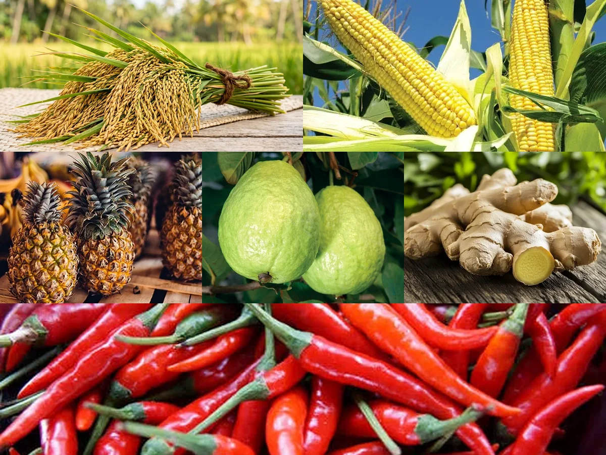 10+ core crops