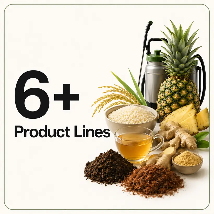 6+ product lines