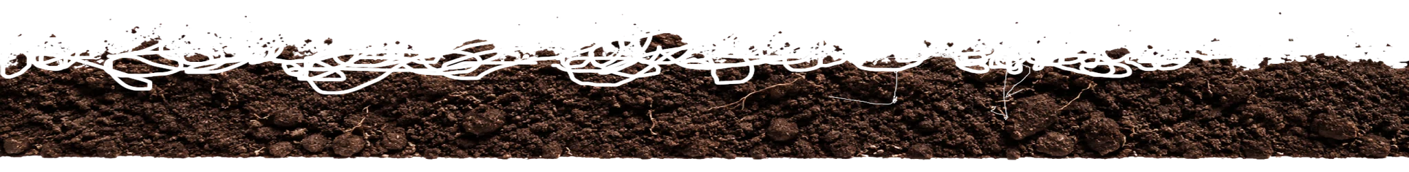 Soil layer